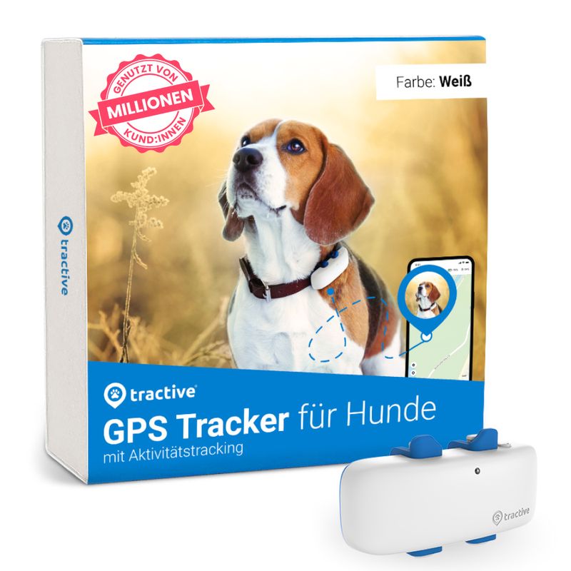 Tractive GPS Tracker für Hunde zu TOP-Preisen