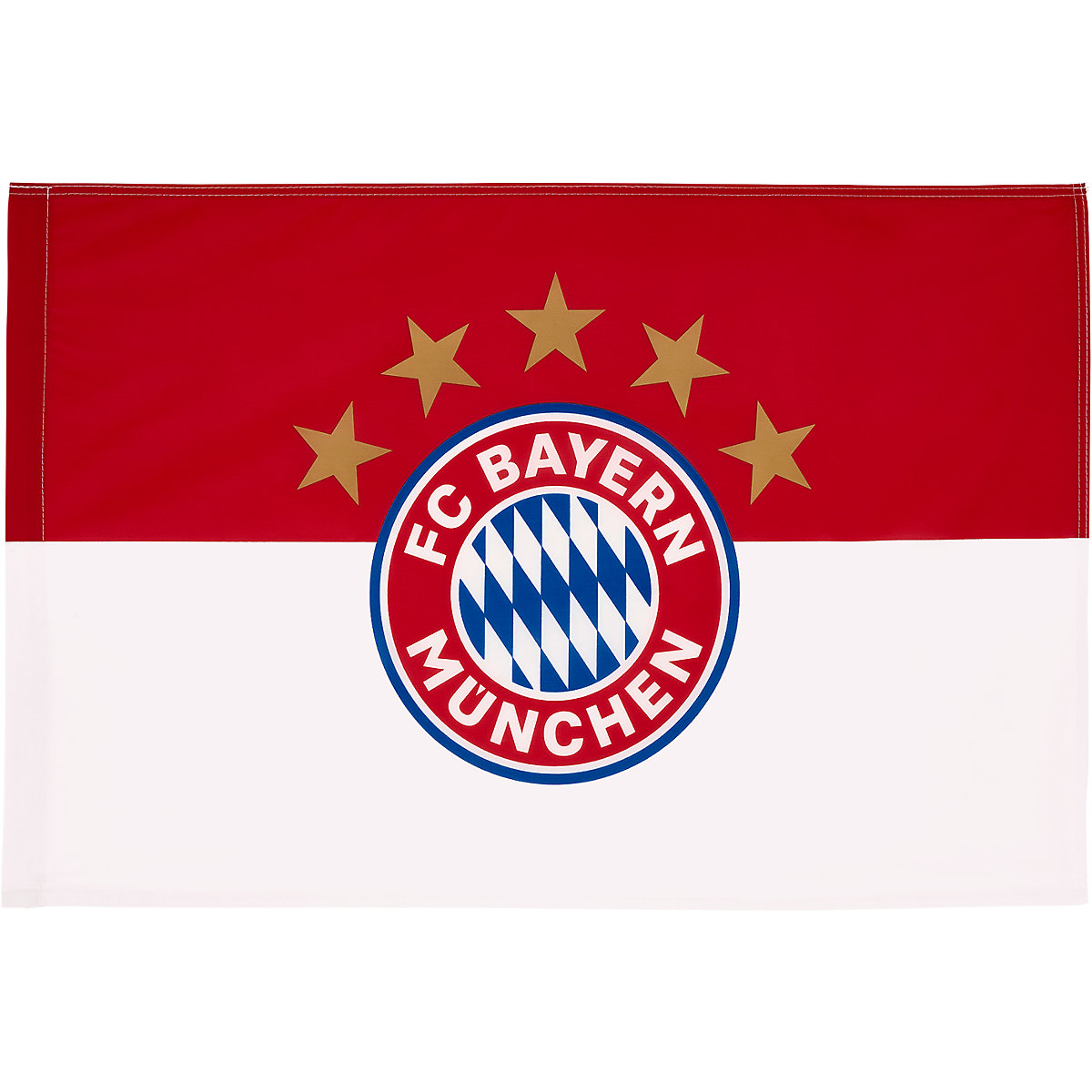 Fahne Logo 90 x 60 cm