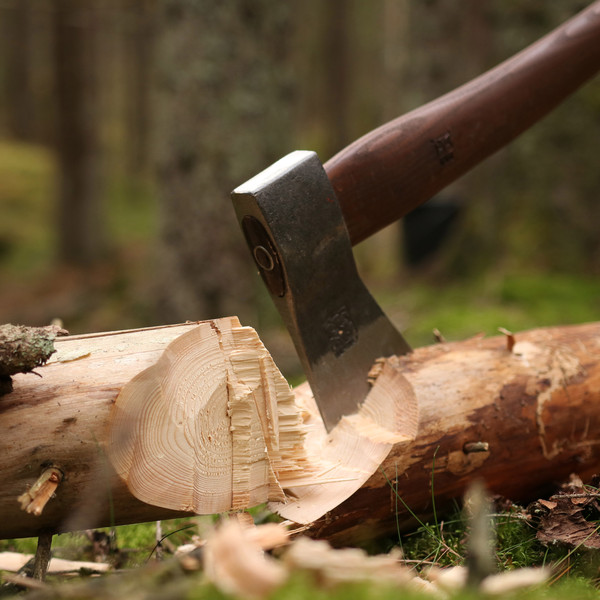 FOREST AXE - Axt