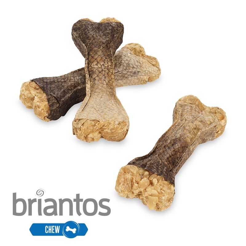Briantos Chew Bone Beauty