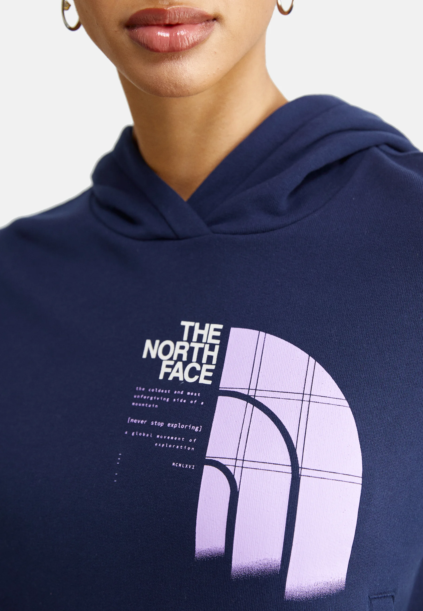 Sudadera con capucha gráfica The North Face