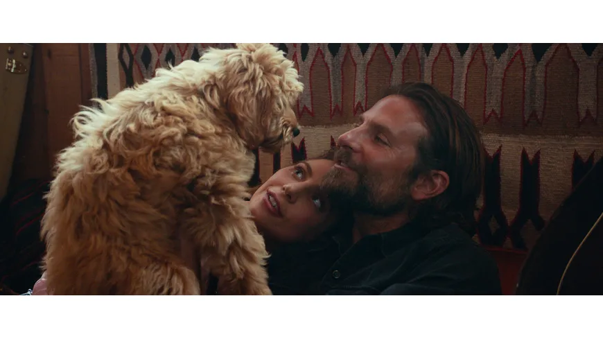 A Star is Born