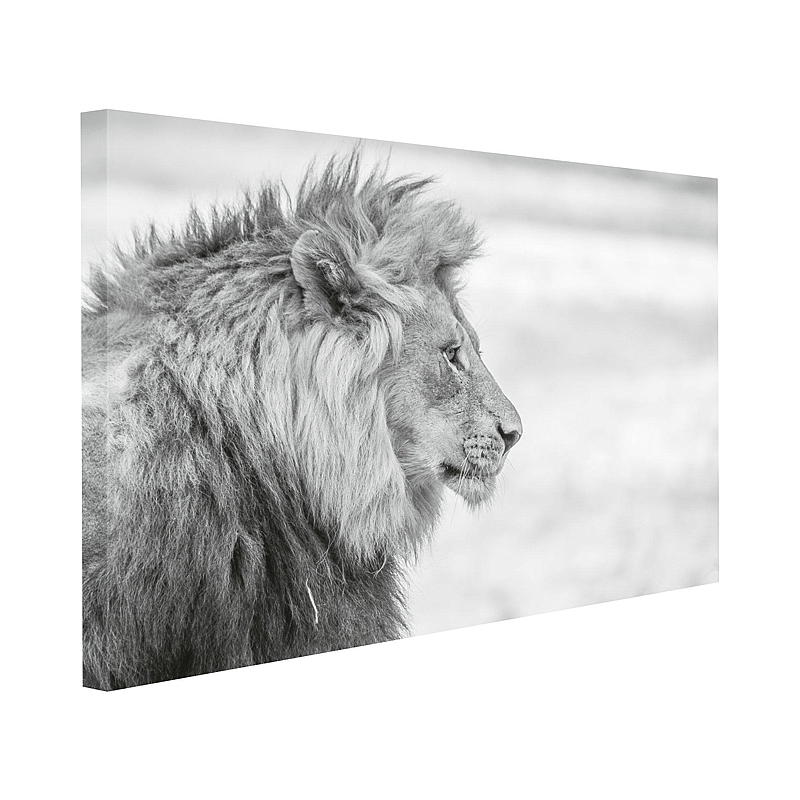 Home Canvasbilde 70x100 cm