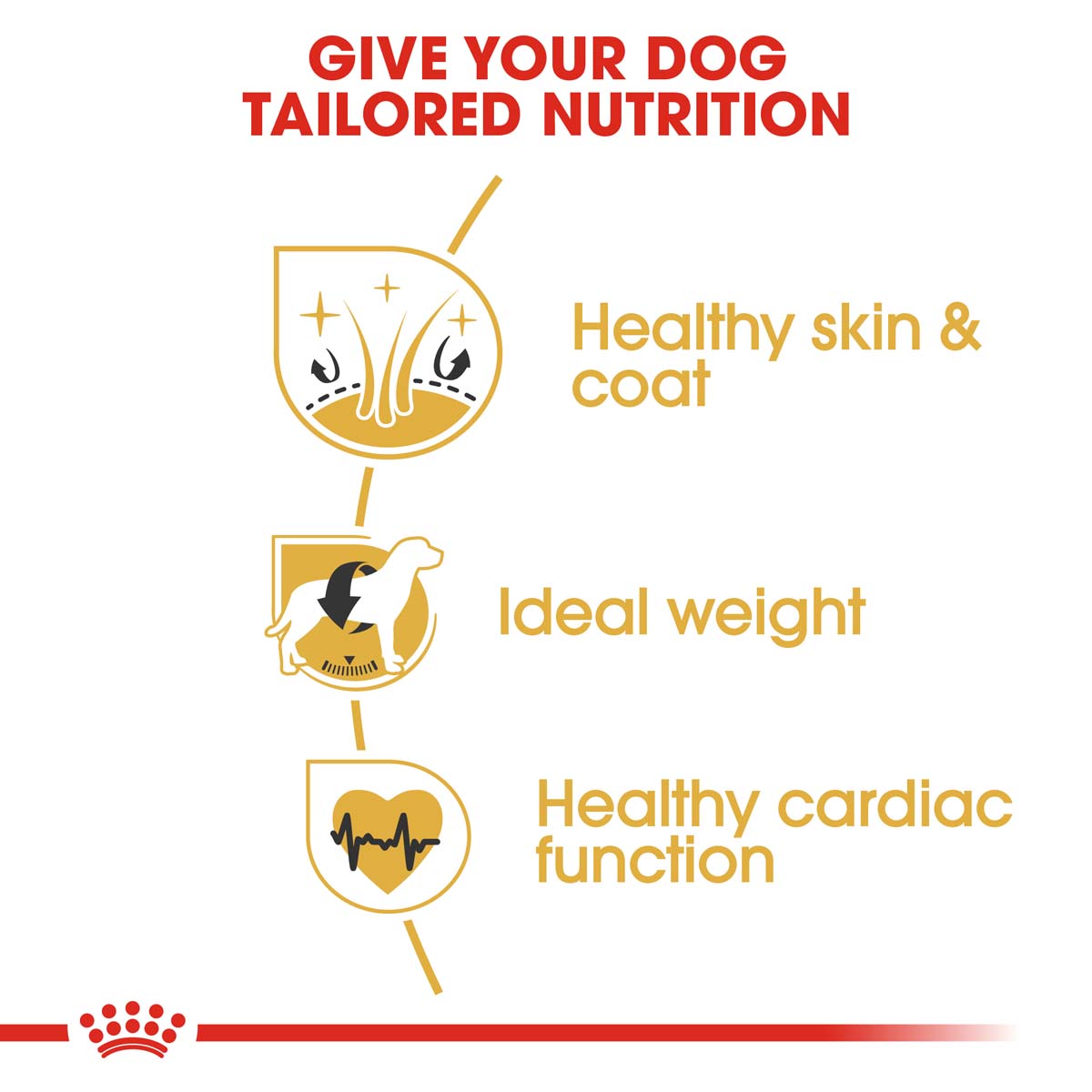 ROYAL CANIN Cocker Adult Hundefutter trocken kaufen bei ZooRoyal