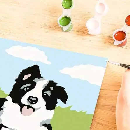 CreArt Border Collie Welpe - Malen nach Zahlen für Kinder ab 7 Jahren