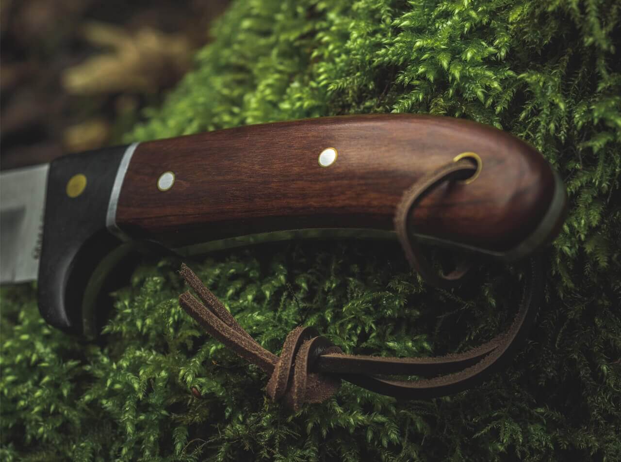 Elk Hunter Special