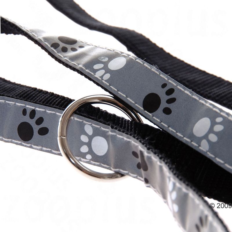 Sparset Trixie Hundeleine + Halsband Pfoten Silver Reflect | bitiba
