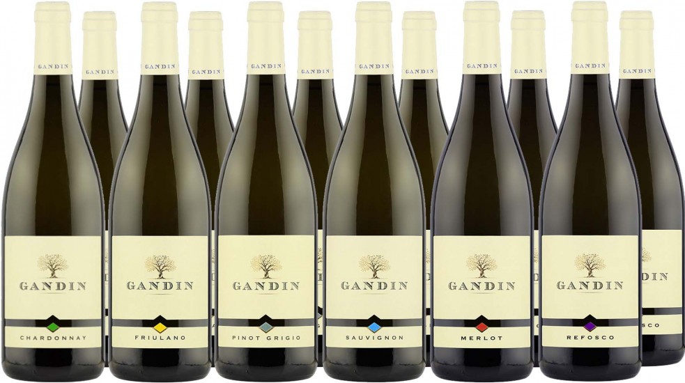 Gandin Großes Kennenlern-Paket - Gandin