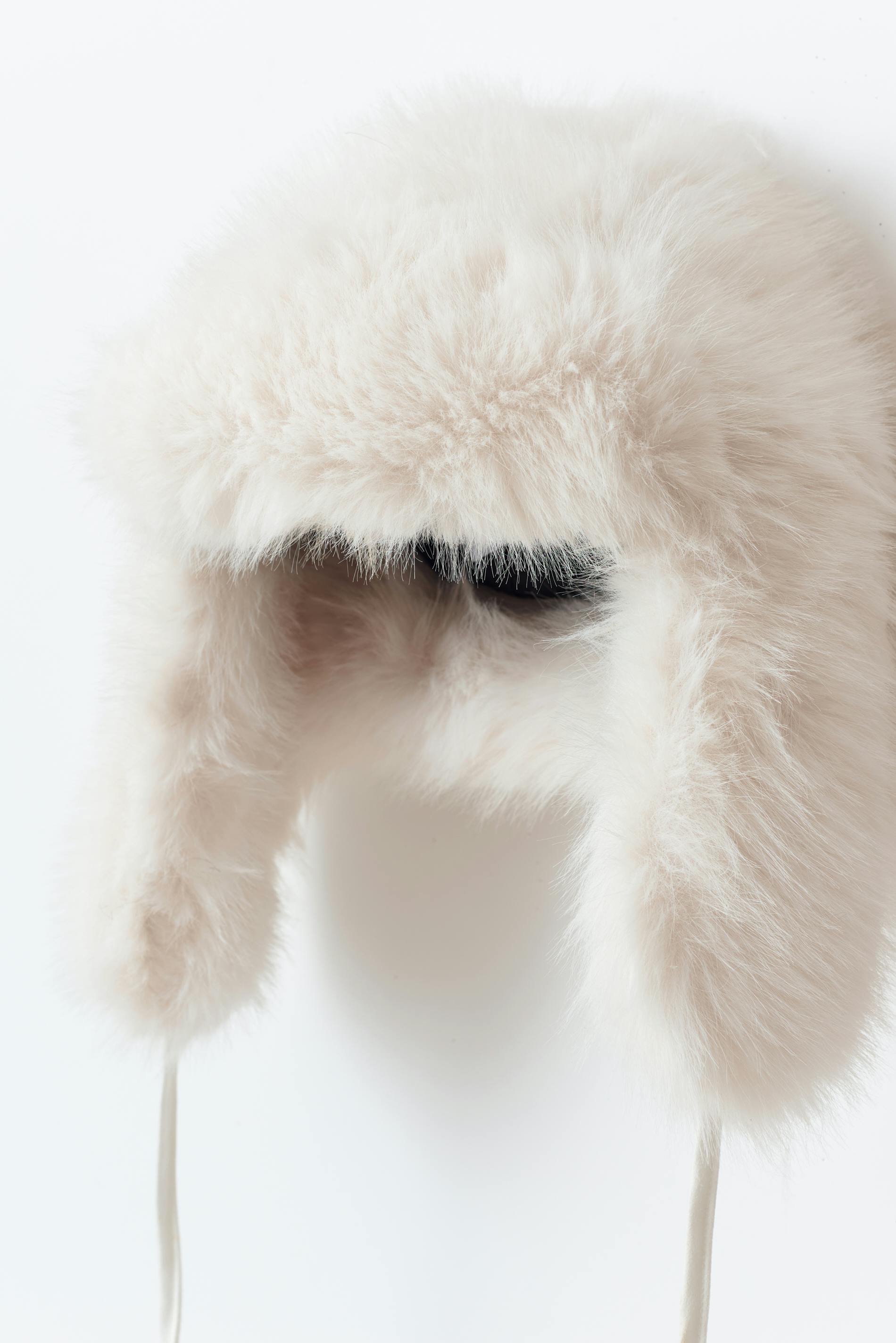 Trapper hat