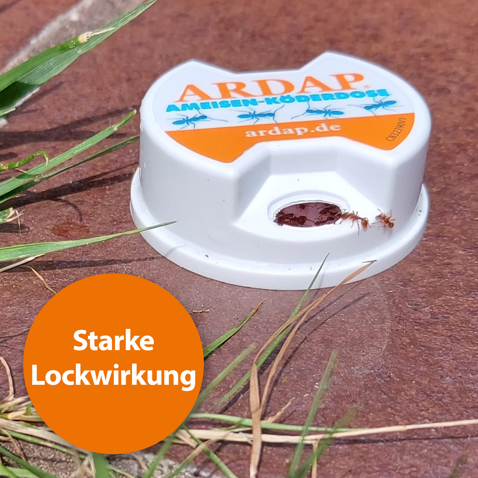 Ardap Zubehör Ardap Ameisen Köderdose 3er Pack
