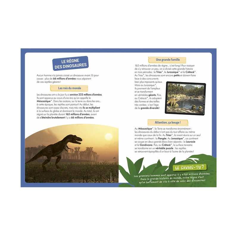 Coffret A la découverte des dinosaures NE - Auzou
