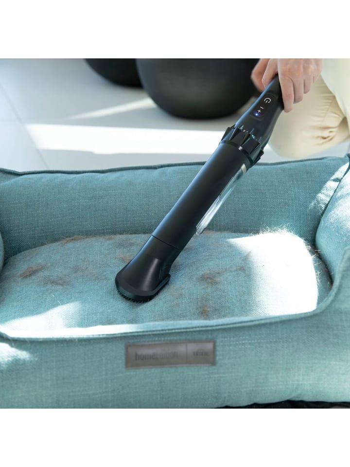 Livington Staubsauger Prime Everyday in Schwarz günstig kaufen onesize