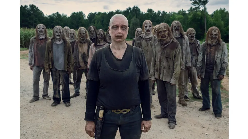 The Walking Dead - Staffel 9  [6 DVDs]