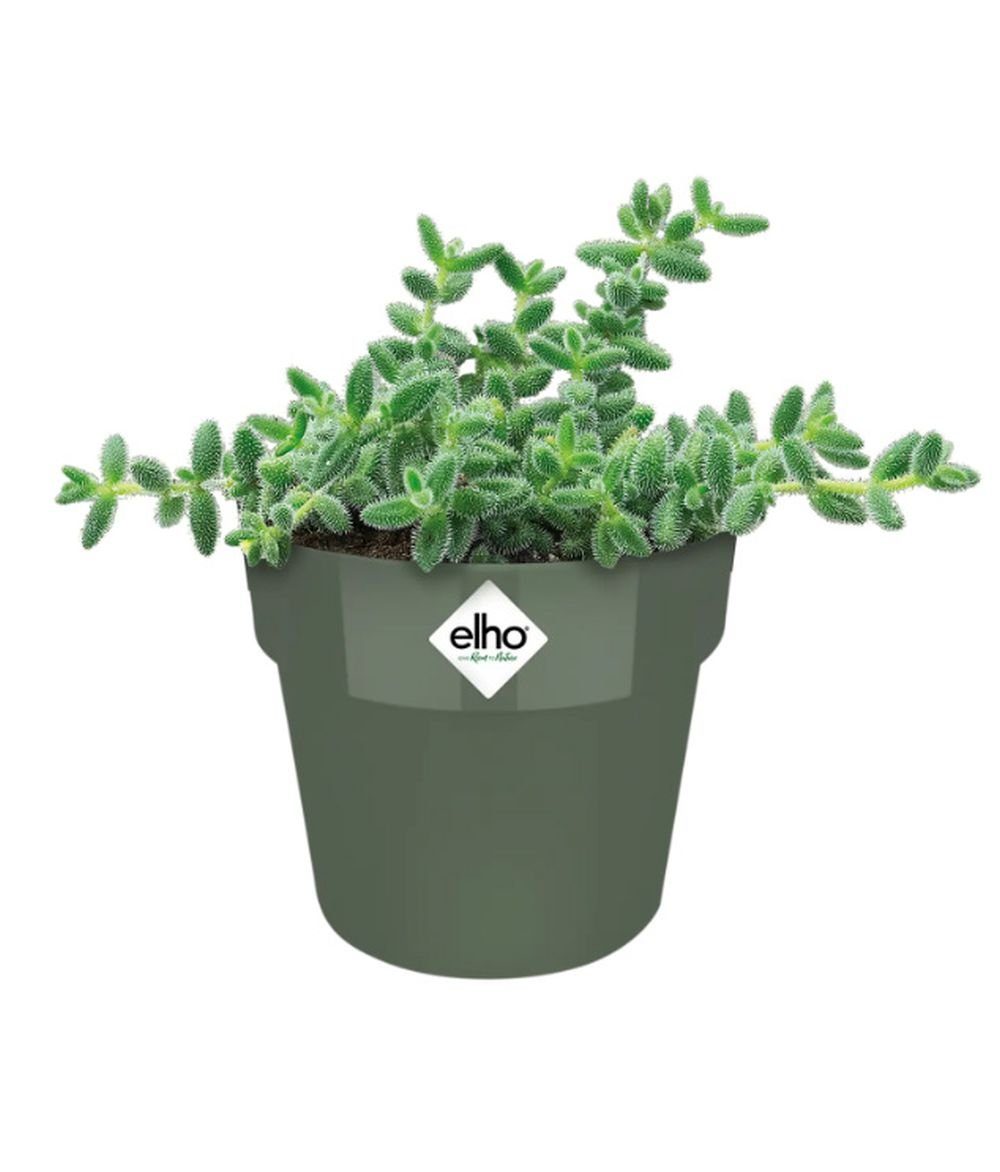 Elho Übertopf b.for original rund mini Ø 7 cm - Ø 13 cm