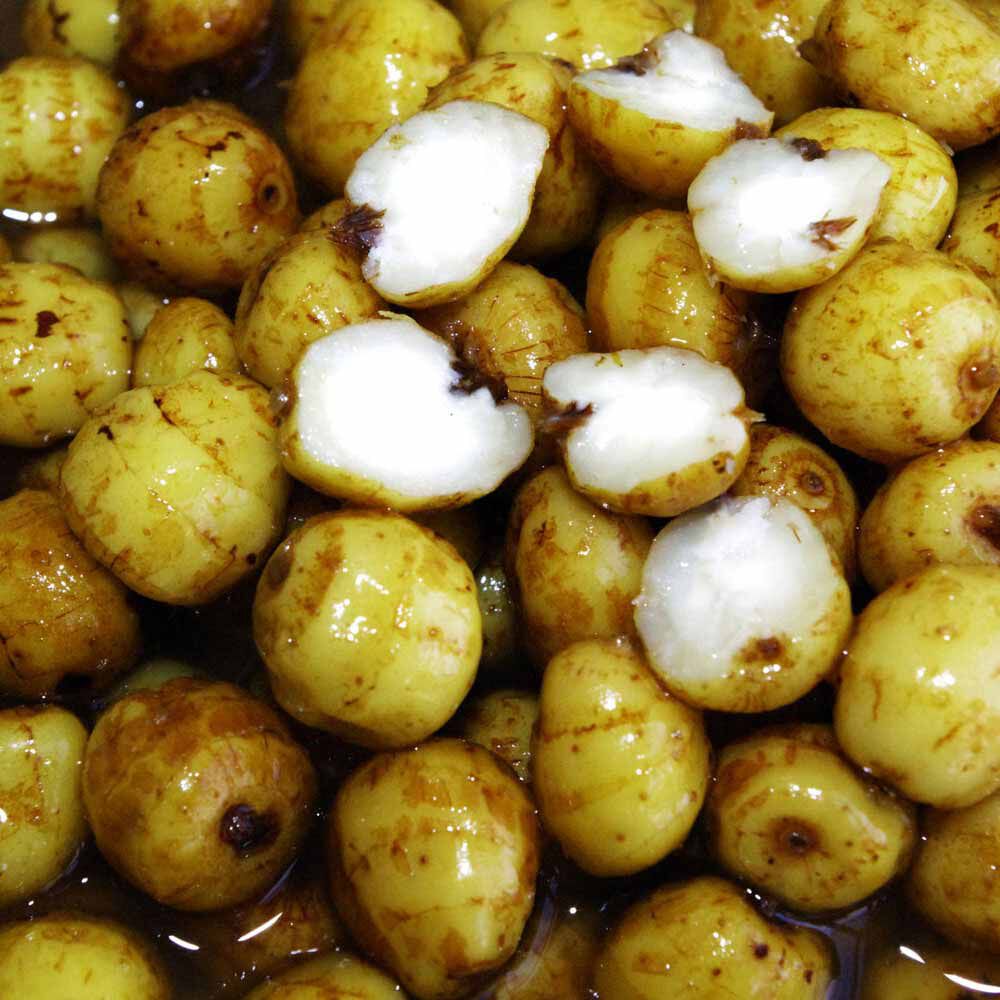 Carp Active Baits Tiger Nuts Jumbo Dry Seeds
