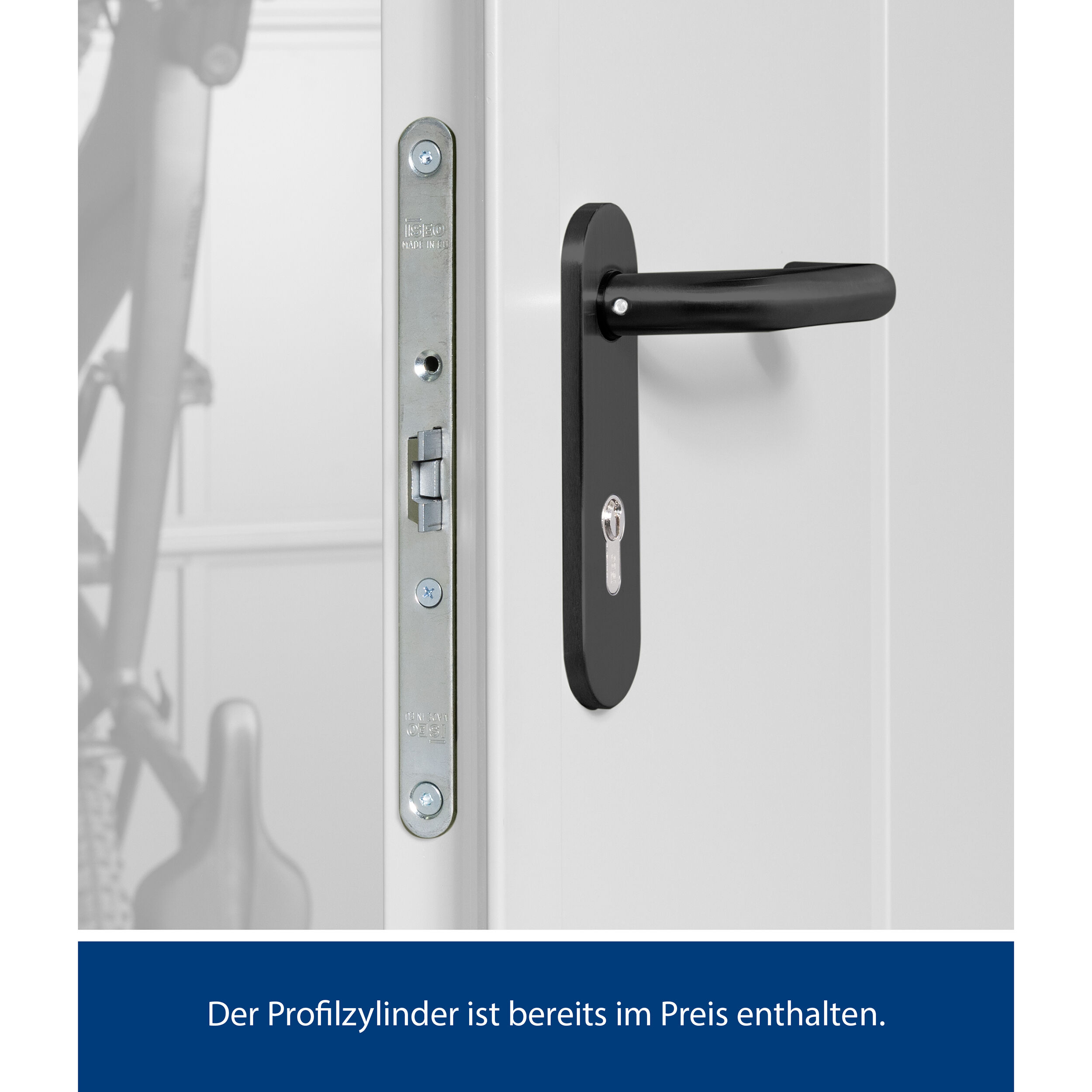 Set Berry Modern-P,Typ 3 Gerätehaus - Weißaluminium