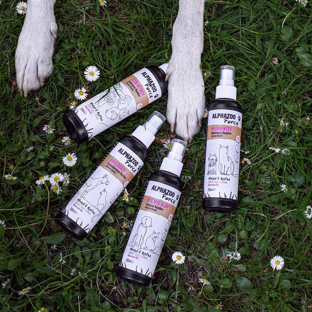 ALPHAZOO Floh- & Zeckenmittel ALPHAZOO Abgegrast Grasmilben Spray für Hunde & Katzen I Starkes Mittel gegen Milben 100 ml
