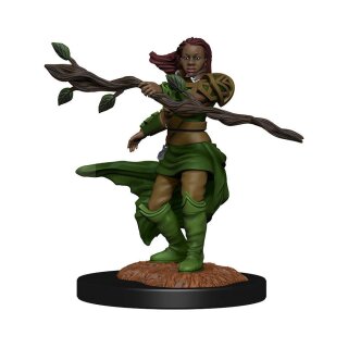 D&D Nolzur's Marvelous Miniatures - Human Druid Female