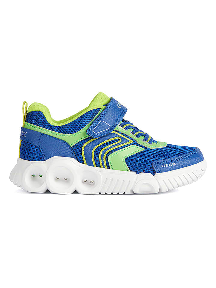 Geox Sneakers 