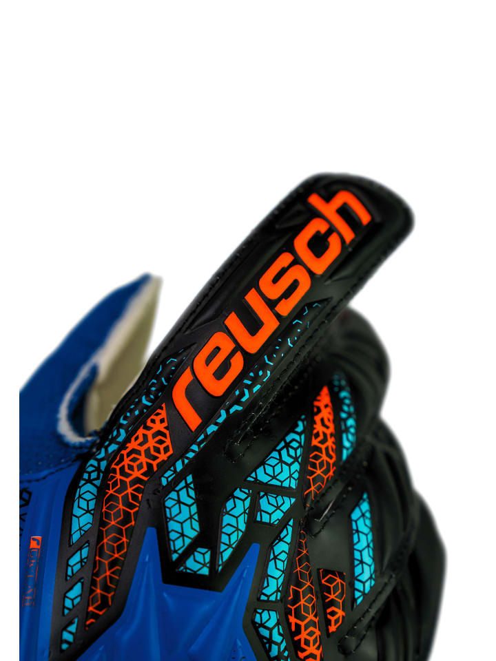 Reusch Torwarthandschuhe Attrakt Solid Junior in 4467 electric blu/shock. orang günstig kaufen