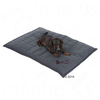 Liegedecke Freedom Bone