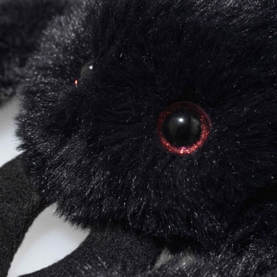 Cobweb Spinne, 14 cm, schwarz