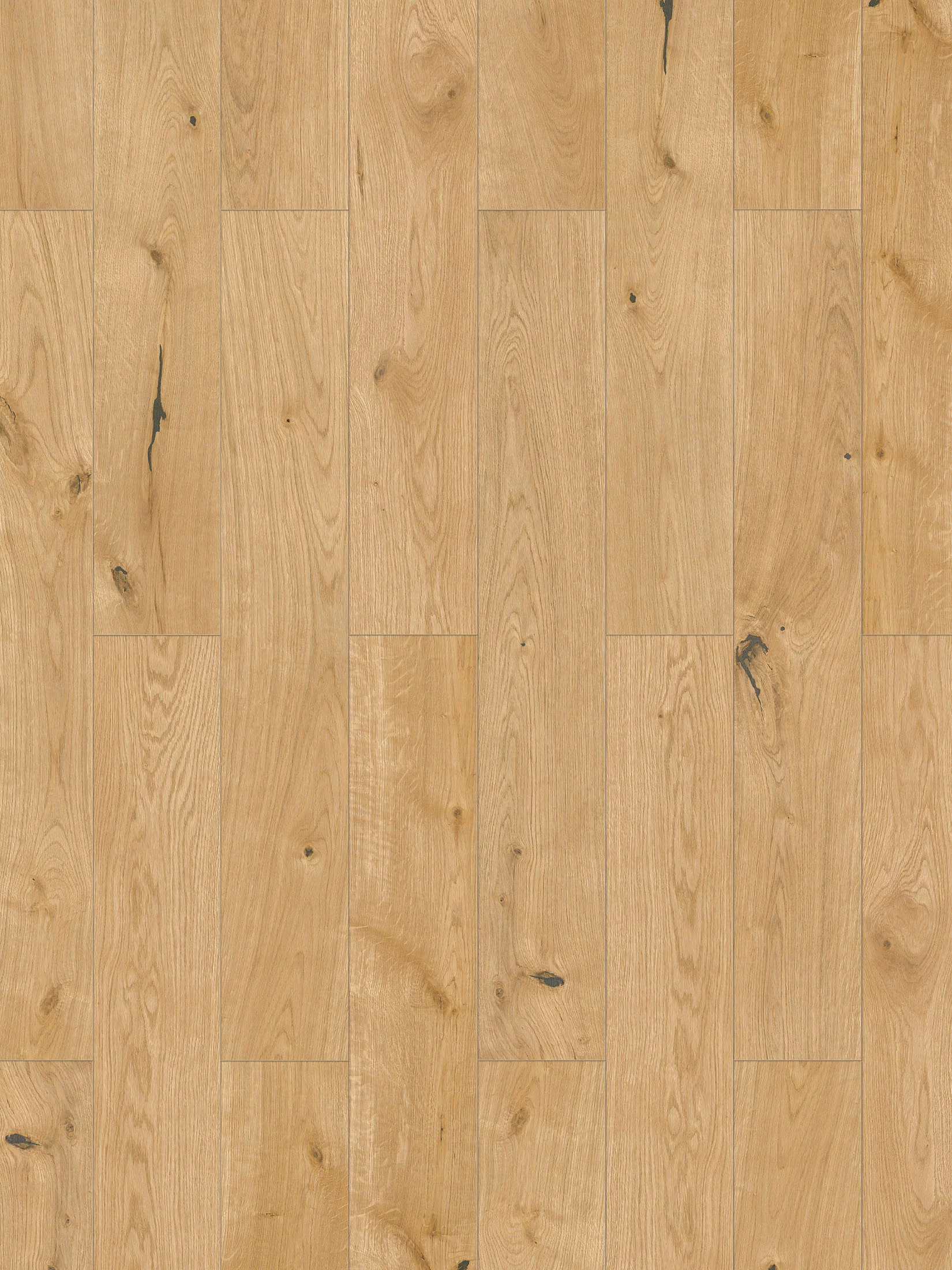 Cottage Klick-Laminat, Grey Light Oak 65382