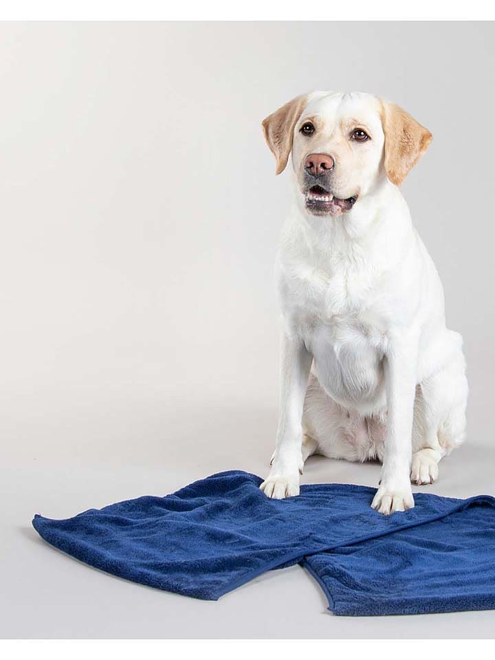 Paikka Hunde-Badetuch in Blau günstig kaufen 40x110 cm