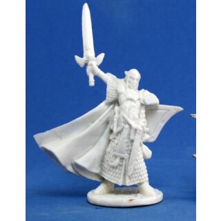 Male Elf Paladin Turanil