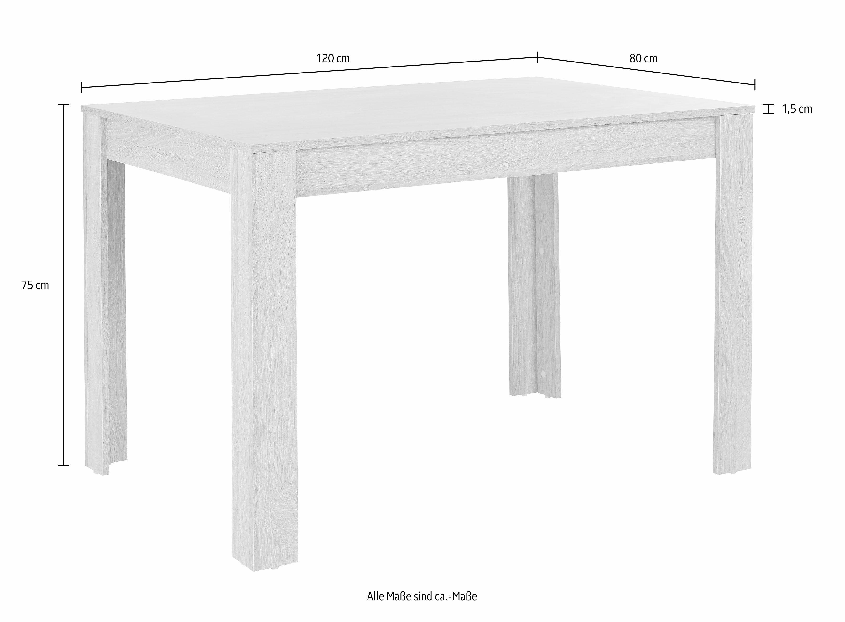 INOSIGN Essgruppe, (Set, 5-tlg), 4 Stühle mit Tisch in schieferfarben, Breite 120 cm