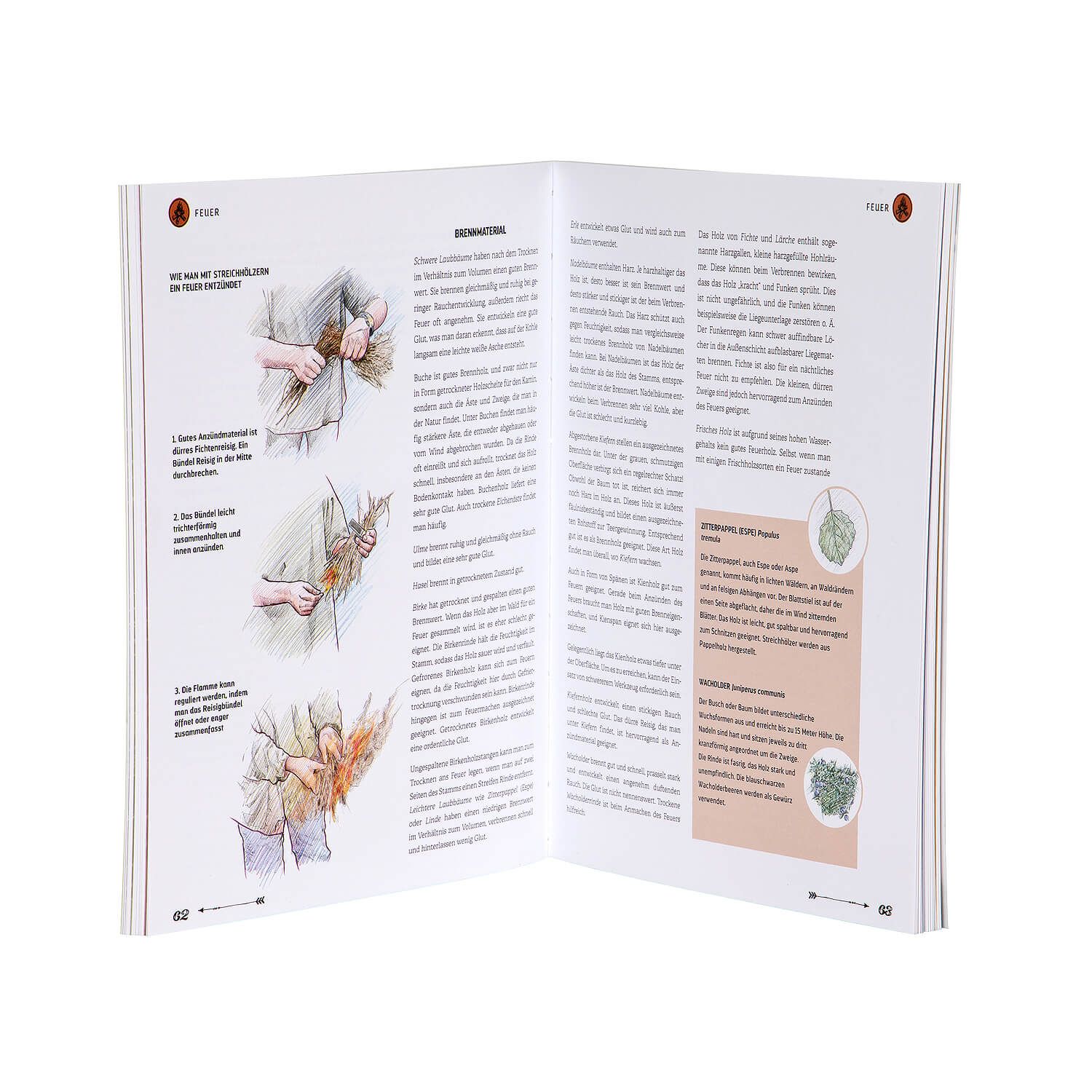 Taschenbuch Im Wald