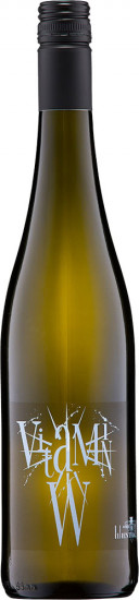 2021 Cabernet Blanc trocken - Andres am Lilienthal