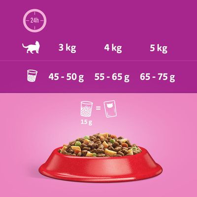 Whiskas 1+ Rind