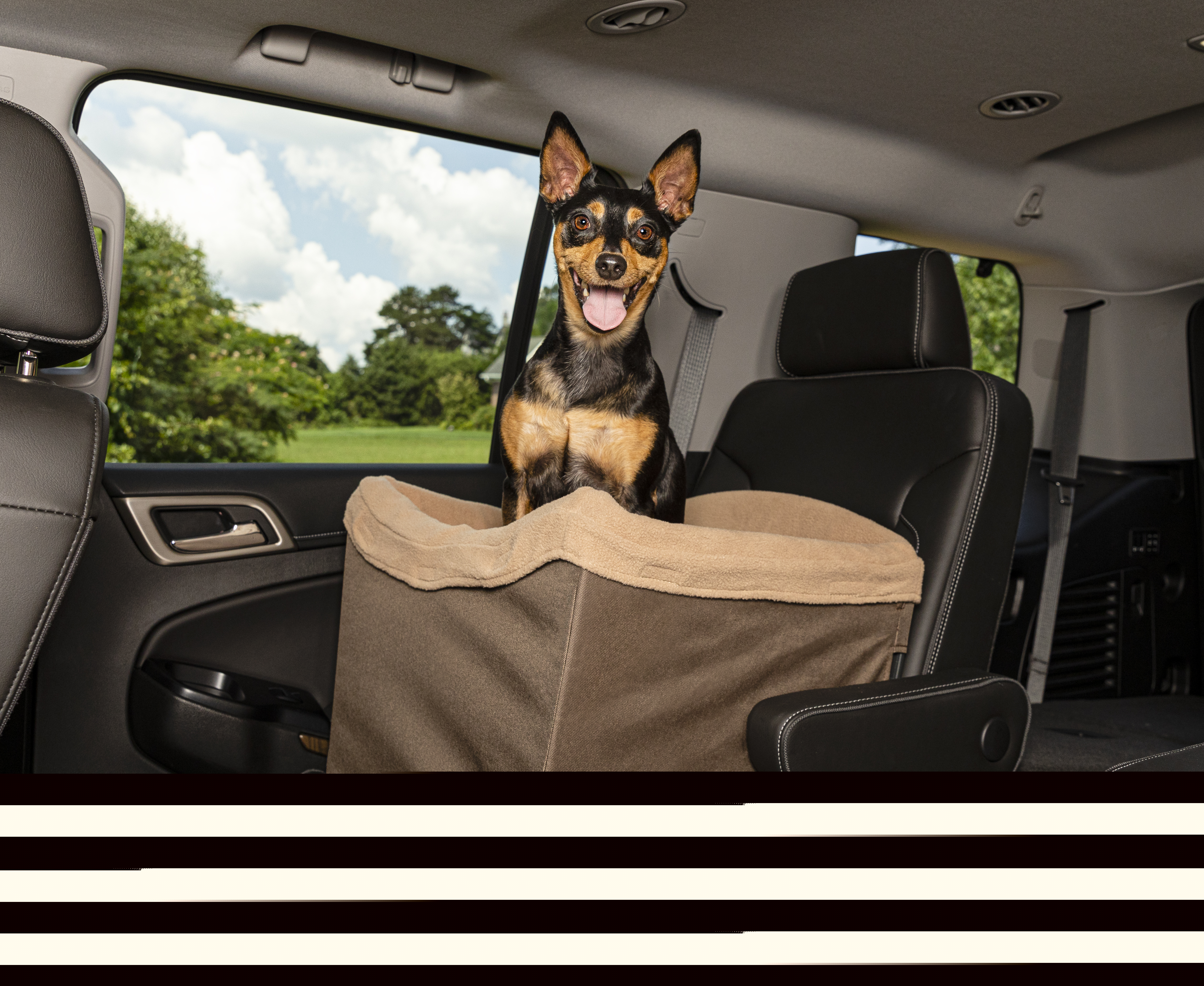 PetSafe Autozubehör PetSafe Happy Ride Hunde-Autositz braun XL