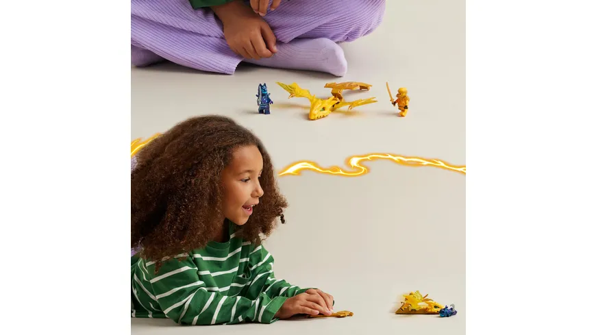 LEGO NINJAGO 71803 Arins Drachengleiter, Ninja-Set mit Drachen-Spielzeug