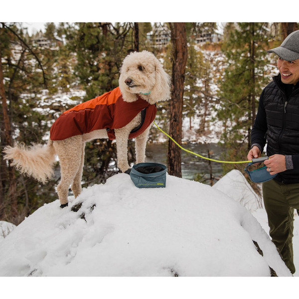 VERT JACKET - Hundezubehör