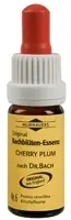Original BACHBLÜTEN Murnauer Tropfen Cherry Plum  20 ml  Tropfen