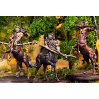 Harry Potter Miniaturen Magorian & Centaurs (EN)