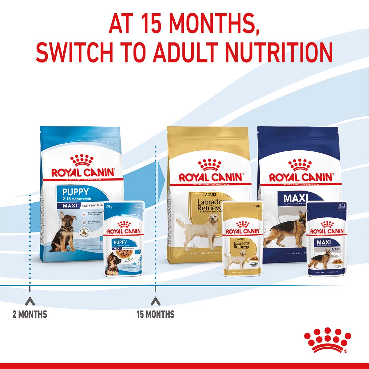 ROYAL CANIN MAXI PUPPY Welpenfutter nass für große Hunde
