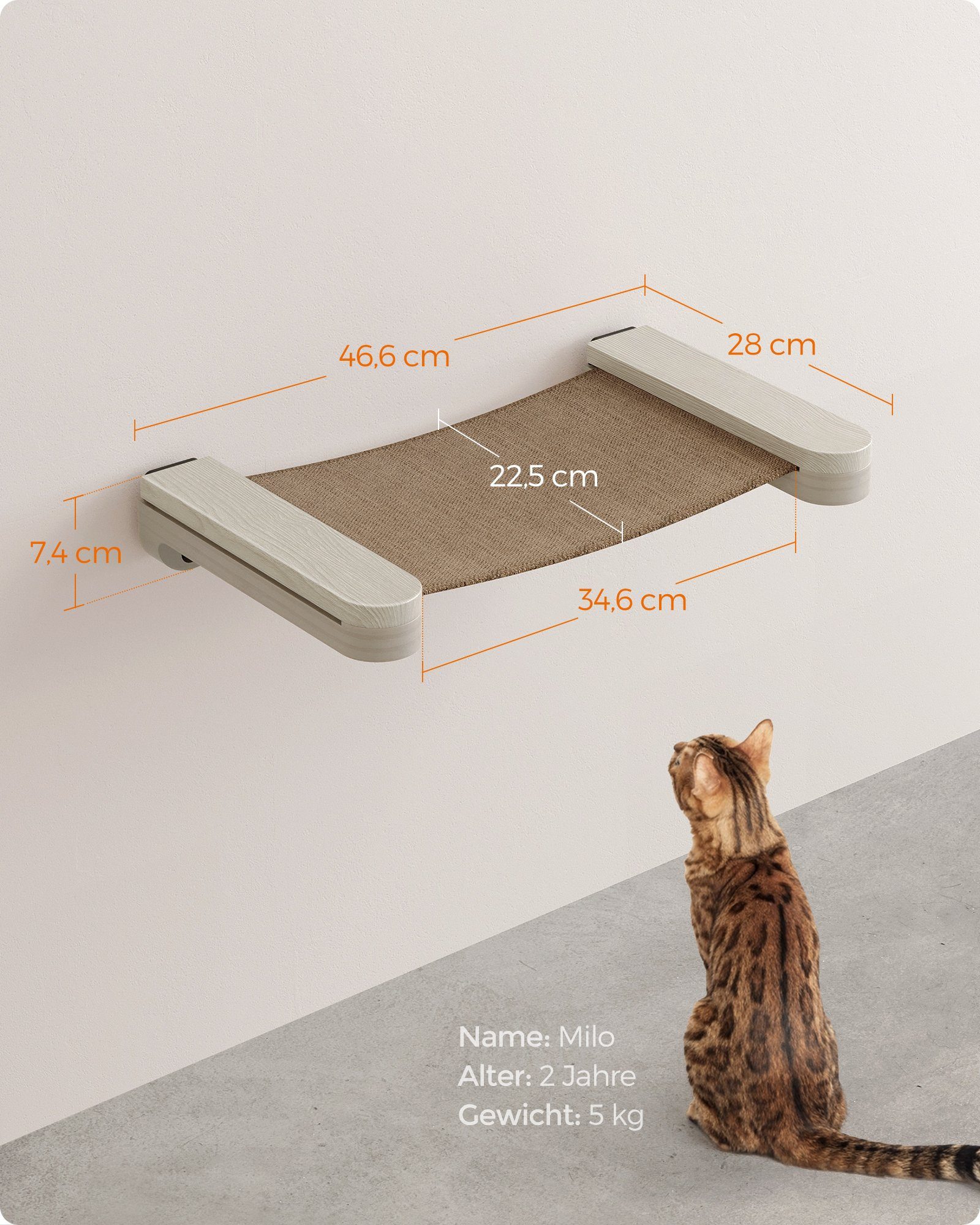 FEANDREA Katzen-Kletterwand, Kratzbaum Clickat Katzen-Hängematte platzsparend