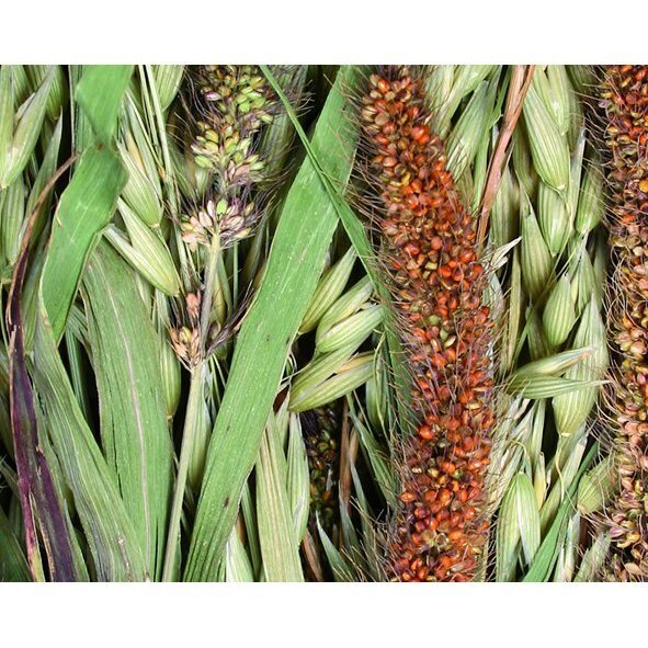 JR Farm Snacks JR Farm Wiesen-Ernte 5x80g