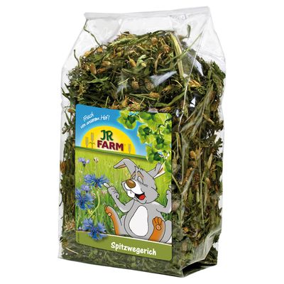 JR Farm Spitzwegerich