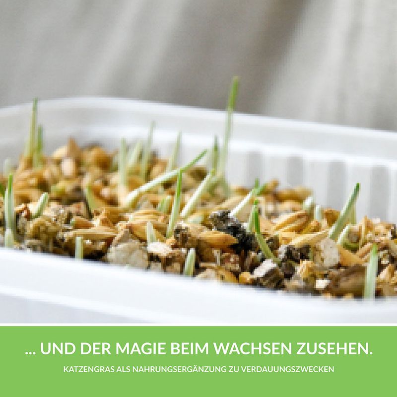 GimCat Hydro-Gras zu TOP-Preisen