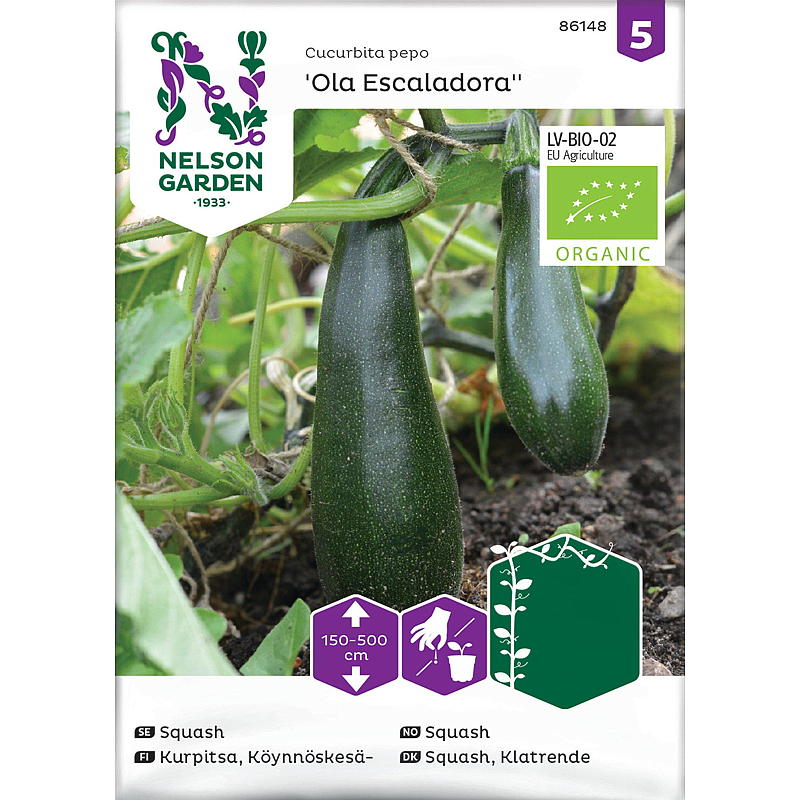 Nelson garden Frø Squash Slyng-, Ola Escaladora