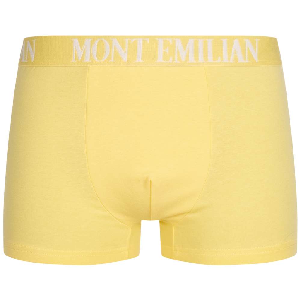 MONT EMILIAN 