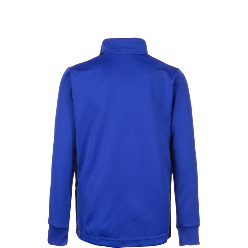 adidas Regista 18 Langarmshirt Jungen