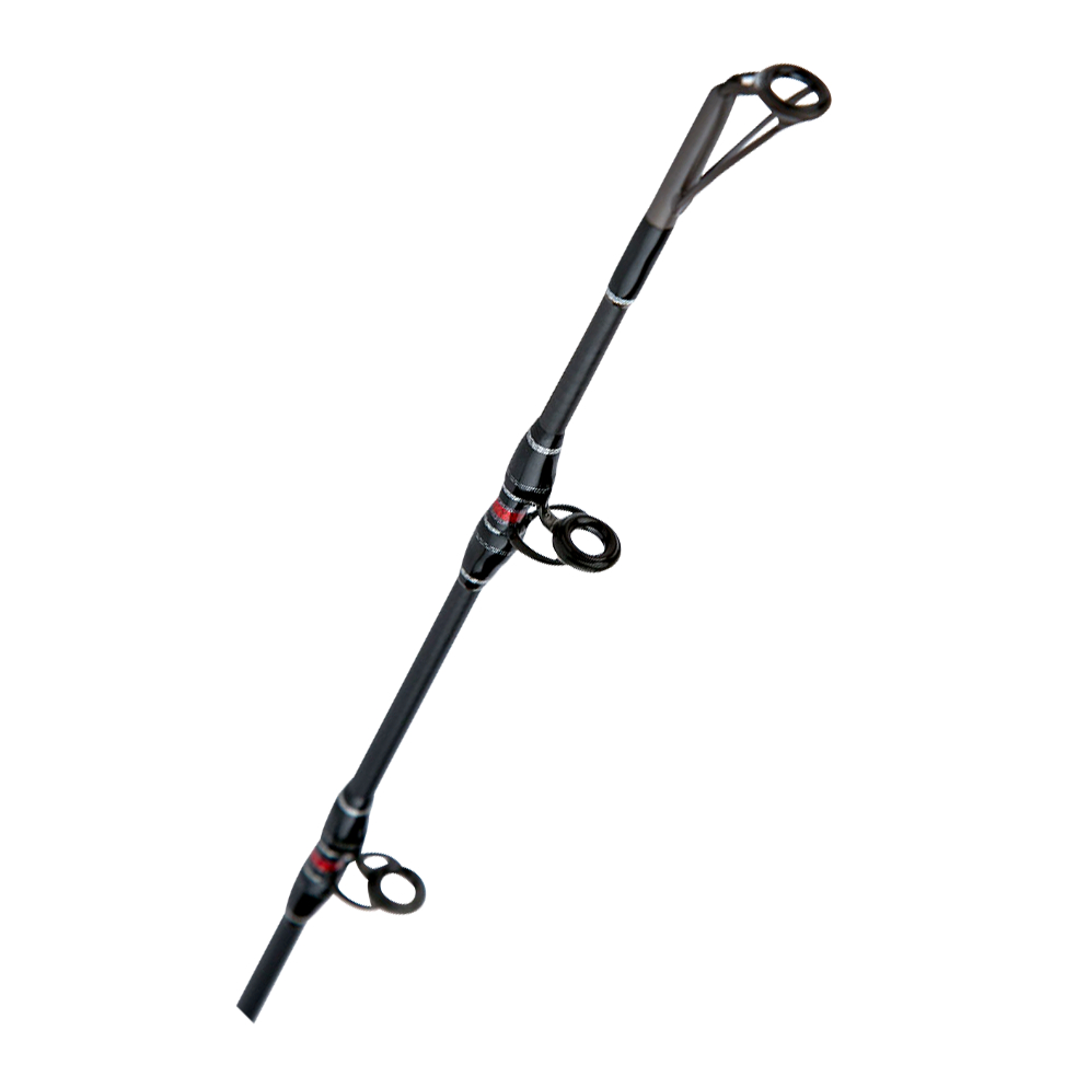 Shimano Meeresrute Speed Master AX Deep Drop