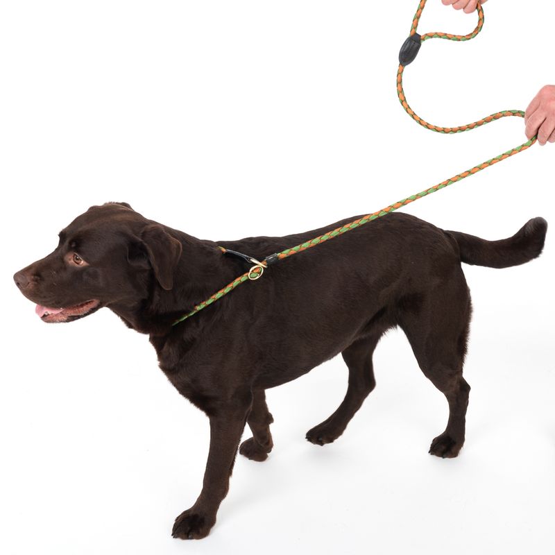 TIAKI Retrieverleine Twist zu TOP-Preisen