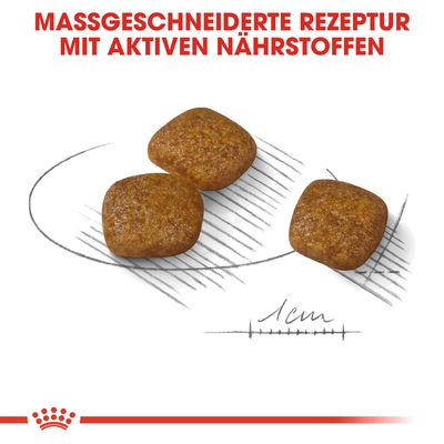 Royal Canin Mini Urinary Care
