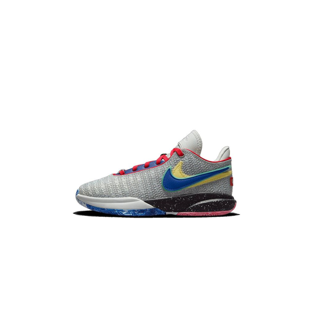 Nike LeBron XX DQ8651-002 / grau